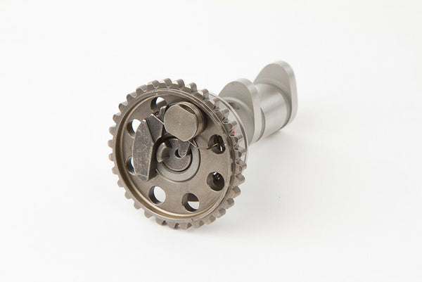 Forró bütykök vezérműtengely kipufogógáz - 1. szakasz Yamaha YZ450F 4022-1E