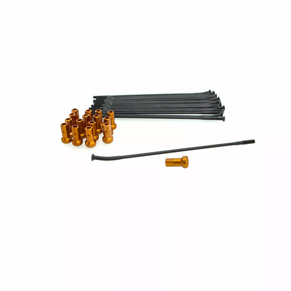 Kite Spoke Kit RR 16 BK/vagy 20.927.1.AR