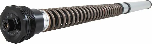 Ohlins patron ducati scrambler nix fks 501