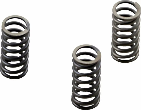 EBC Clutch Spring Set CSK CSK236