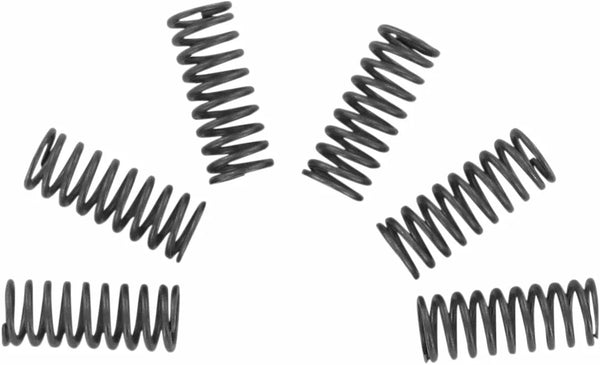 EBC tengelykapcsoló -rugó szett CSK CSK032